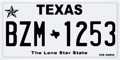 TX license plate BZM1253