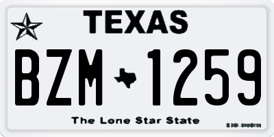 TX license plate BZM1259