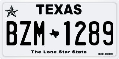 TX license plate BZM1289