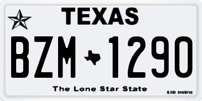 TX license plate BZM1290