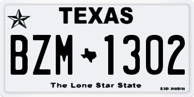 TX license plate BZM1302
