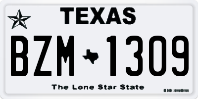 TX license plate BZM1309