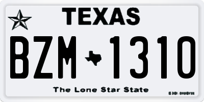 TX license plate BZM1310