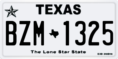 TX license plate BZM1325