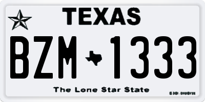 TX license plate BZM1333