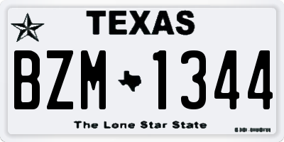 TX license plate BZM1344