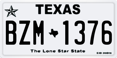 TX license plate BZM1376