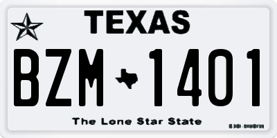 TX license plate BZM1401