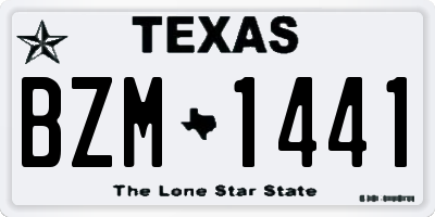 TX license plate BZM1441