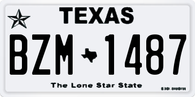 TX license plate BZM1487