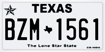 TX license plate BZM1561