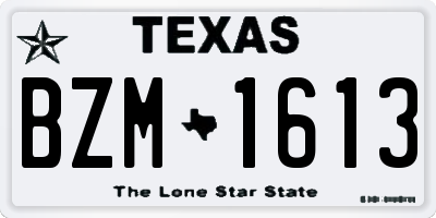 TX license plate BZM1613