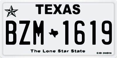 TX license plate BZM1619