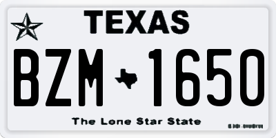 TX license plate BZM1650