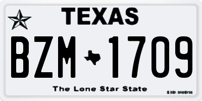 TX license plate BZM1709
