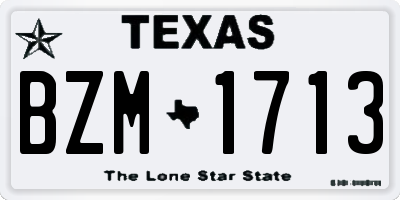 TX license plate BZM1713