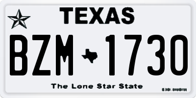 TX license plate BZM1730