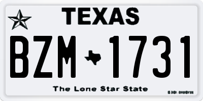 TX license plate BZM1731