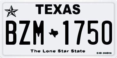 TX license plate BZM1750