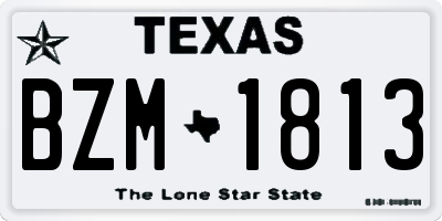 TX license plate BZM1813