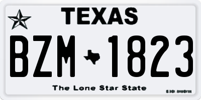 TX license plate BZM1823