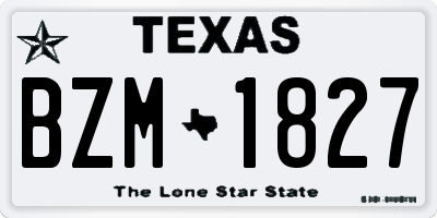 TX license plate BZM1827
