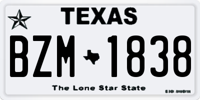 TX license plate BZM1838