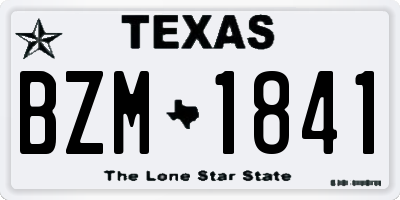 TX license plate BZM1841