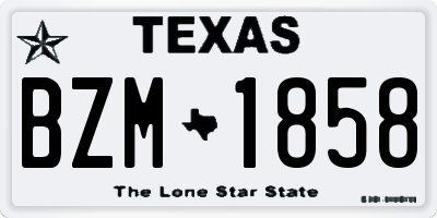 TX license plate BZM1858