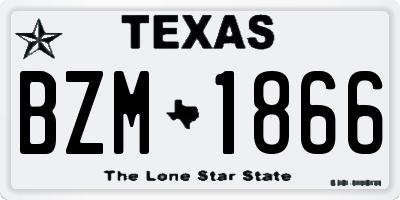 TX license plate BZM1866