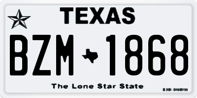 TX license plate BZM1868