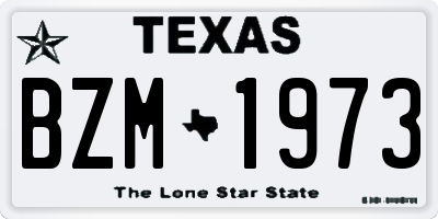 TX license plate BZM1973