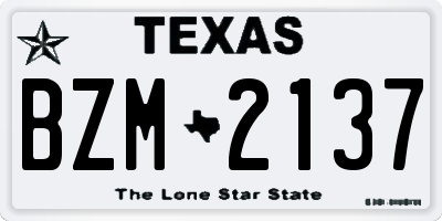 TX license plate BZM2137