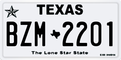 TX license plate BZM2201
