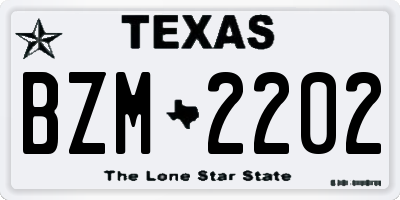 TX license plate BZM2202