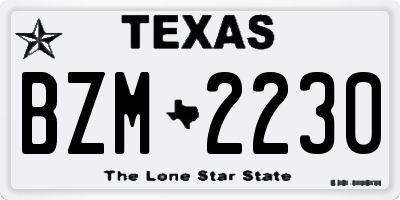 TX license plate BZM2230