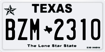 TX license plate BZM2310