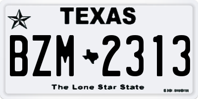 TX license plate BZM2313