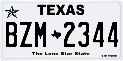 TX license plate BZM2344