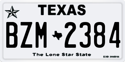 TX license plate BZM2384