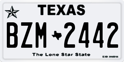TX license plate BZM2442