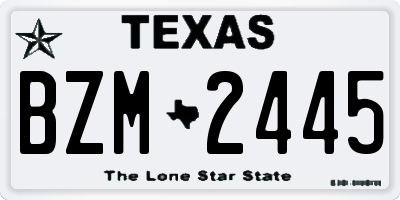 TX license plate BZM2445