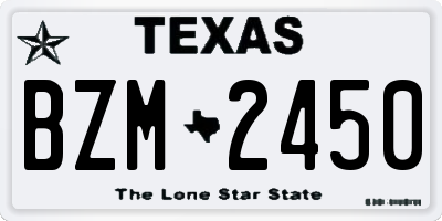TX license plate BZM2450