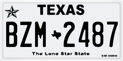 TX license plate BZM2487