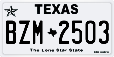 TX license plate BZM2503
