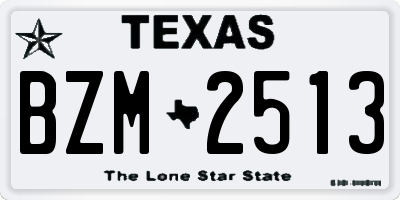TX license plate BZM2513