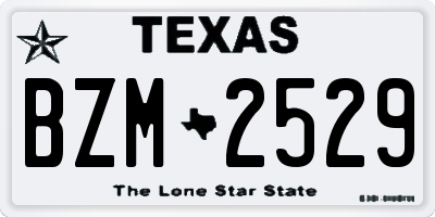 TX license plate BZM2529