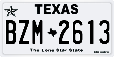 TX license plate BZM2613
