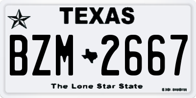 TX license plate BZM2667