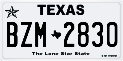 TX license plate BZM2830